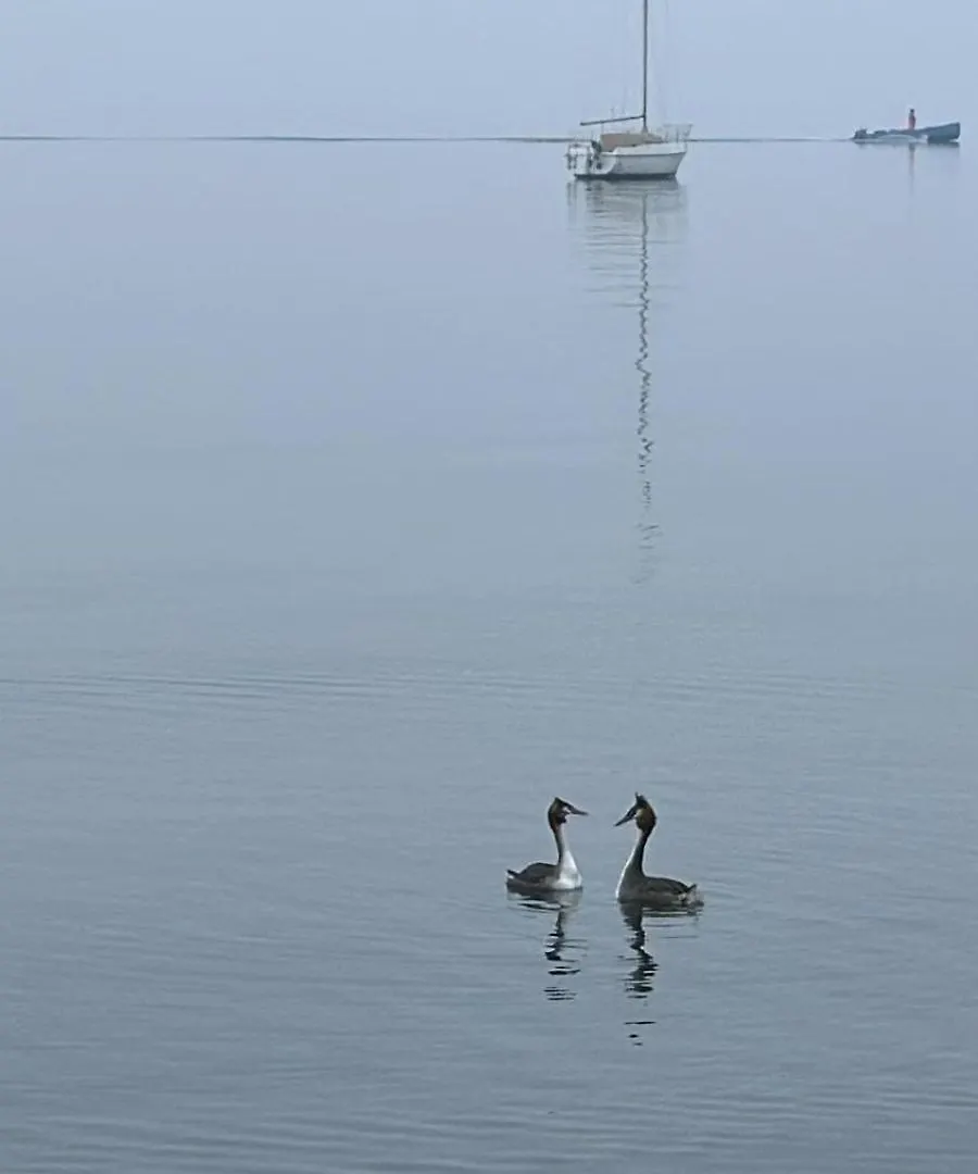Residenza Giovanni Fronte Lago - Residence Garda Lago Peschiera del Garda