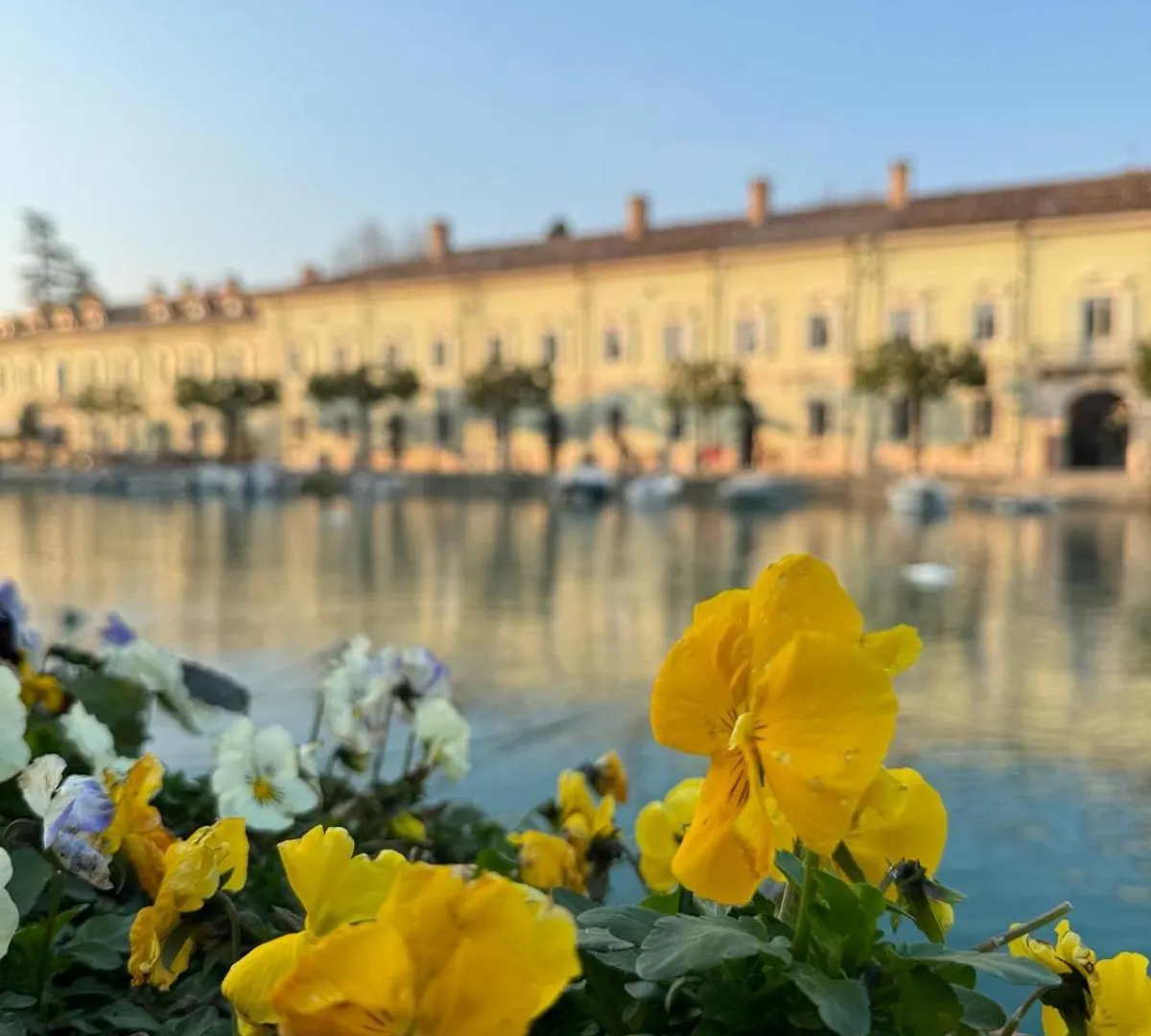 Residenza Giovanni Fronte Lago - Residence Garda Lago Peschiera del Garda Apartment